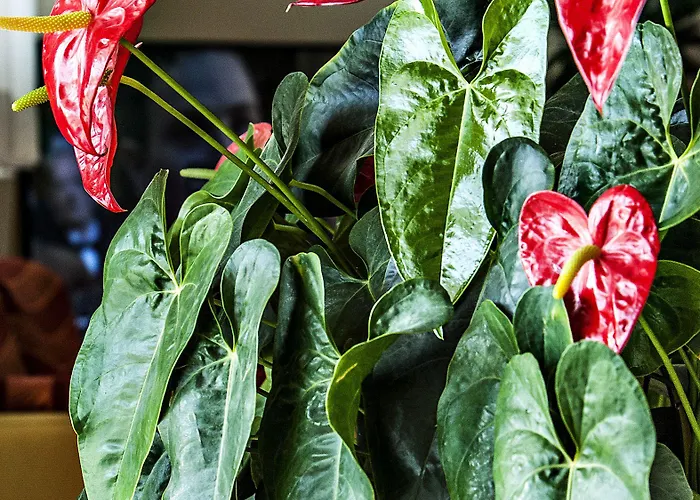 Garibaldi Szálloda 3*