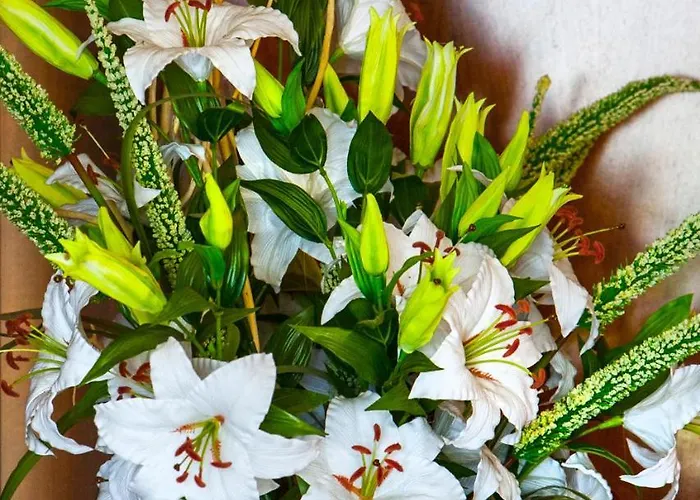 Garibaldi Ξενοδοχείο