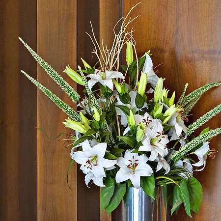 فندق Garibaldi 3*