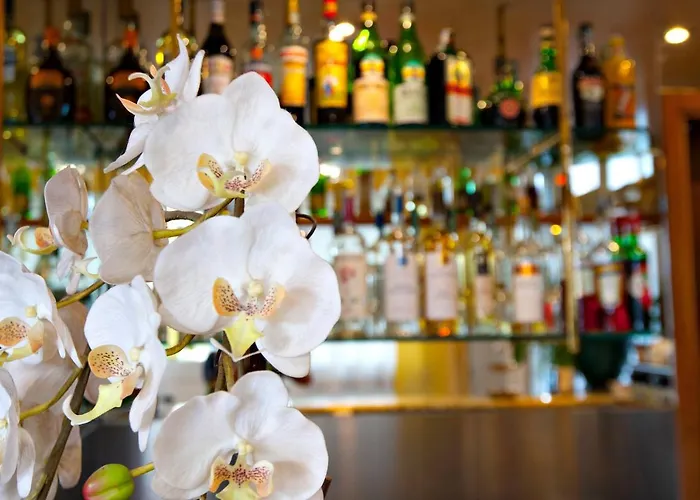 酒店 加里波第酒店